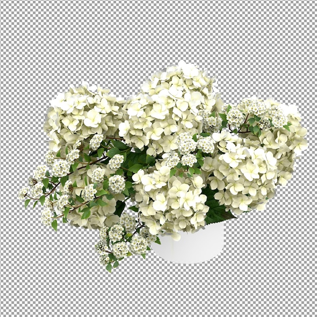 Beautiful plant in 3d rendering isolated