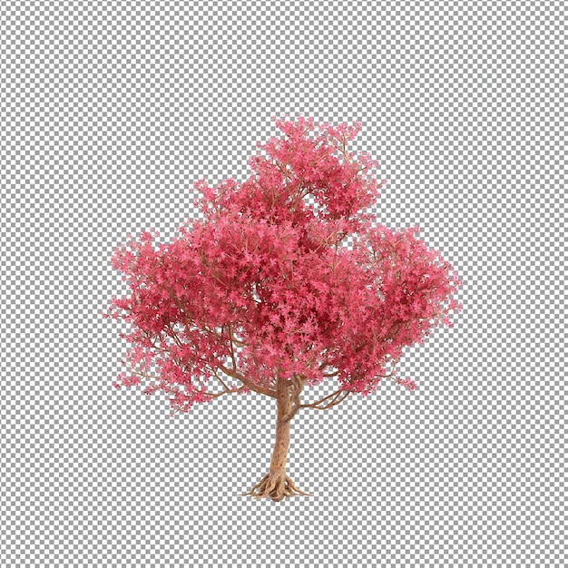 Beautiful plant in 3d rendering isolated