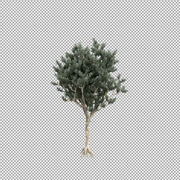 Beautiful plant in 3d rendering isolated