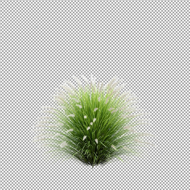 Beautiful plant in 3d rendering isolated