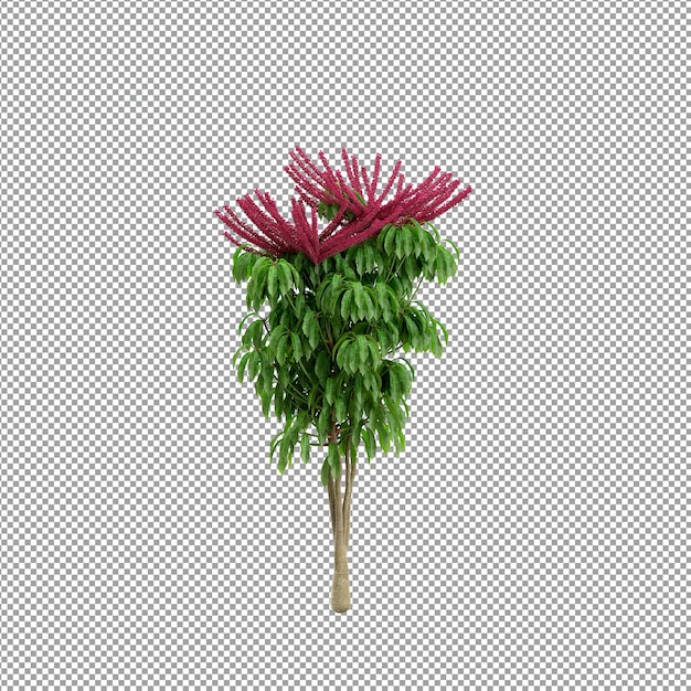 Beautiful plant in 3d rendering isolated