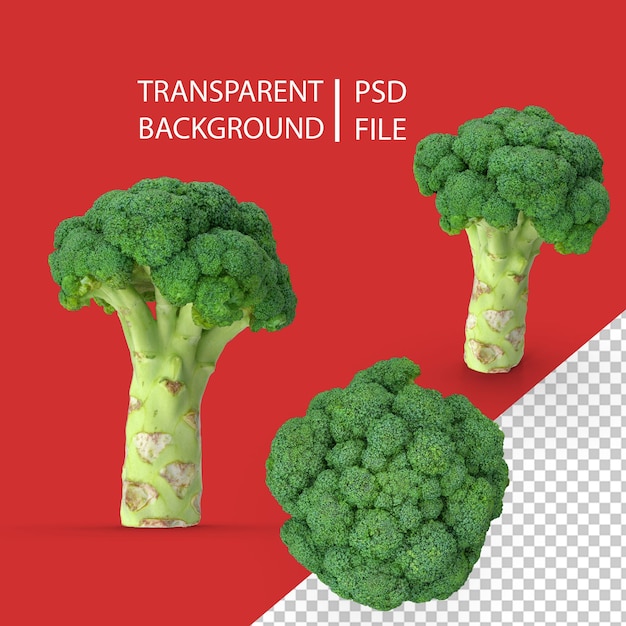 Broccoli PNG