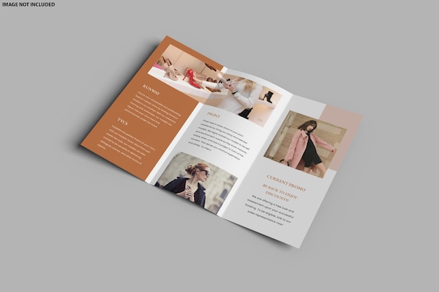 Brochure Trifold Mockup Design Isolated