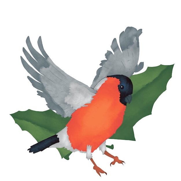 PSD bullfinch vogel met uitgestrekte vleugels met holly bladeren illustratie waterverf kleur compositie childre