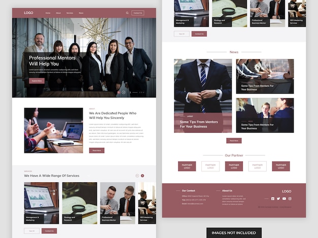 Business Mentor Website Landing Page