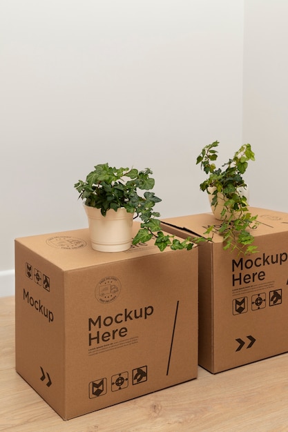 PSD cardboard box for moving house and packaging