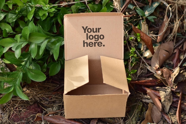 PSD cardboard mockup psd v2