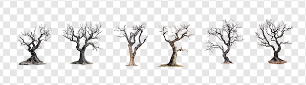 PSD collection of dead tree for halloween decoration front view isolate on transparency background