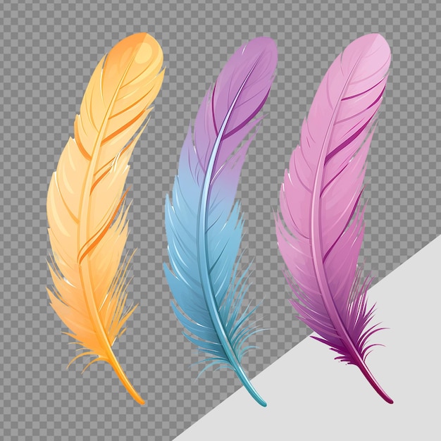 PSD color feathers soft bird plumage png isolated on transparent background