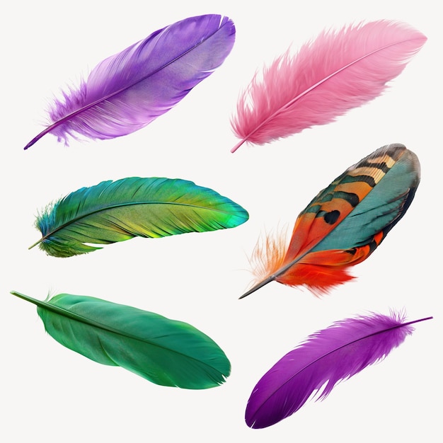 PSD colorful feathers for creative design element psd set