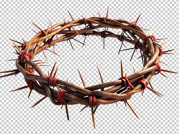 Crown of thorns