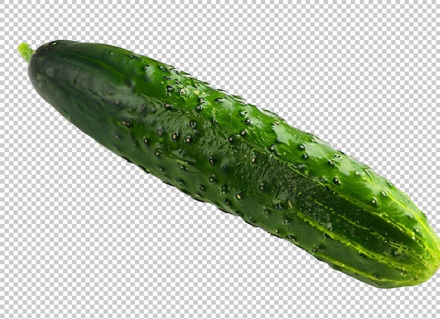 Cucumber On Alpha Layer