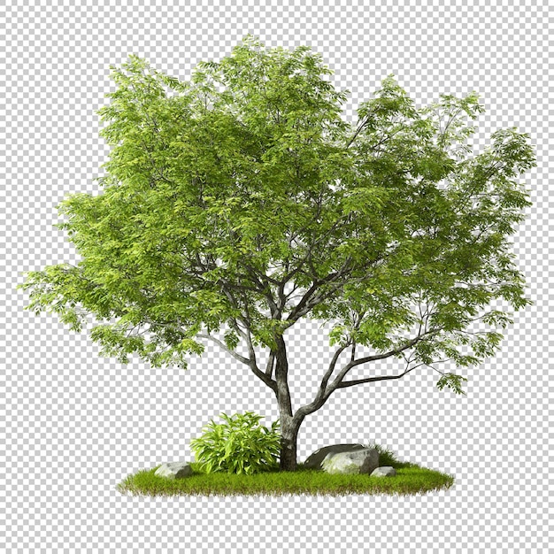 PSD cut out single green tree shape on grass isolated on transparent backgrounds 3d rendering