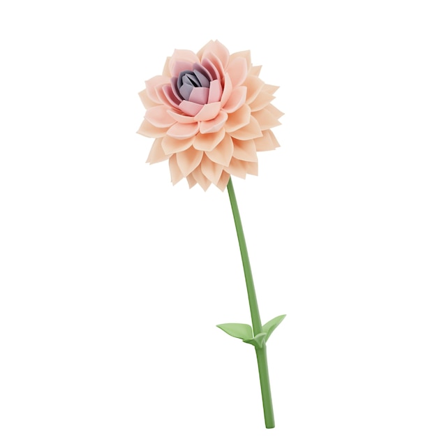 PSD dahlia flower 3d icon for flowers