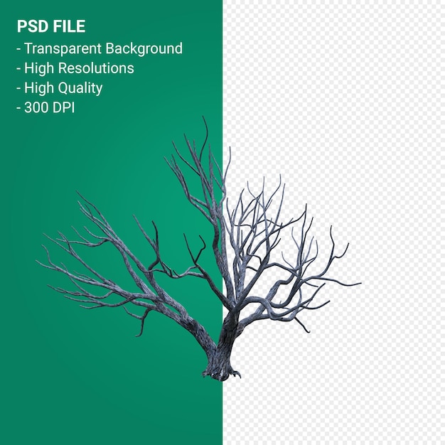 PSD dead tree 3d render isolated