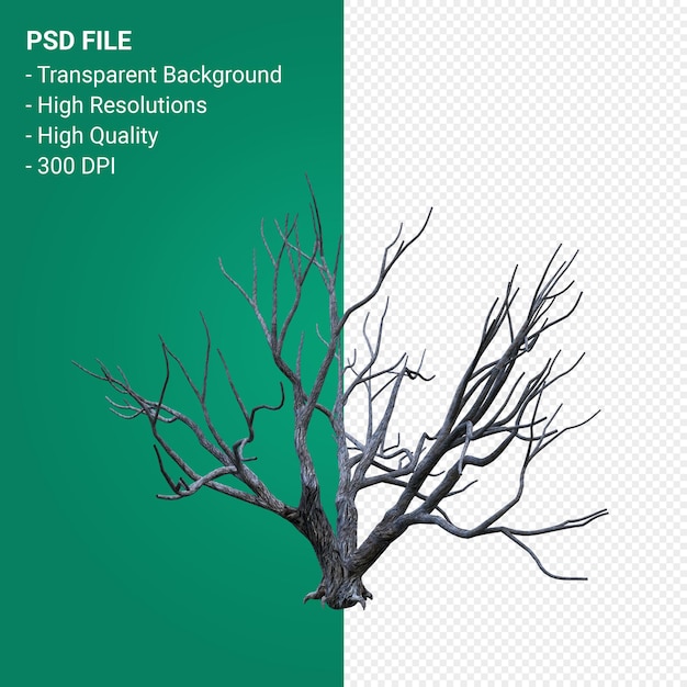 PSD dead tree 3d render isolated