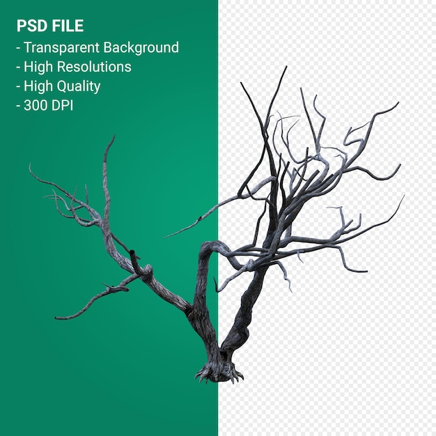 PSD dead tree 3d render isolated 