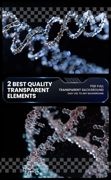 PSD dna molecule structuredna double helixmedical skied on transparent background