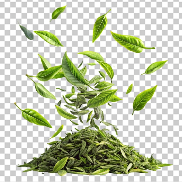 PSD falling green tea leaves on transparent background