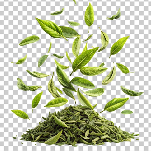 PSD falling green tea leaves on transparent background