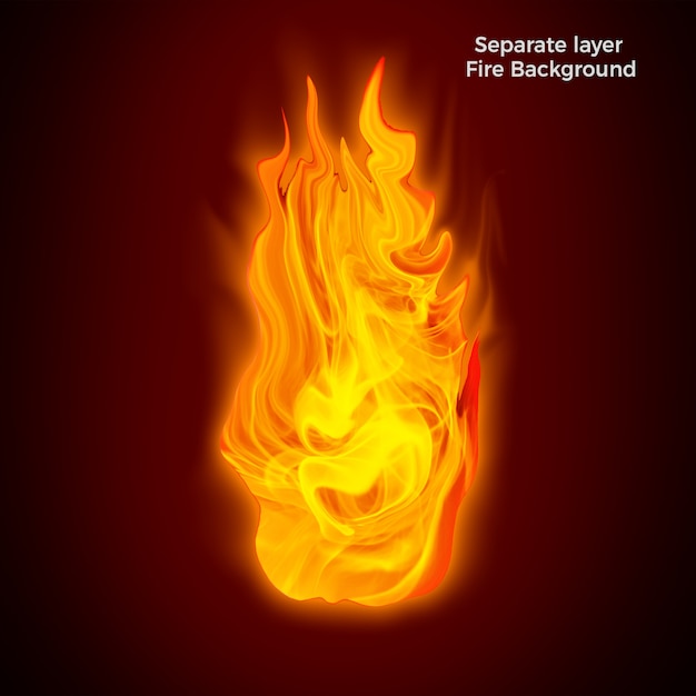 Fire flames isolated