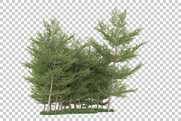 Forest on transparent background. 3d rendering - illustration