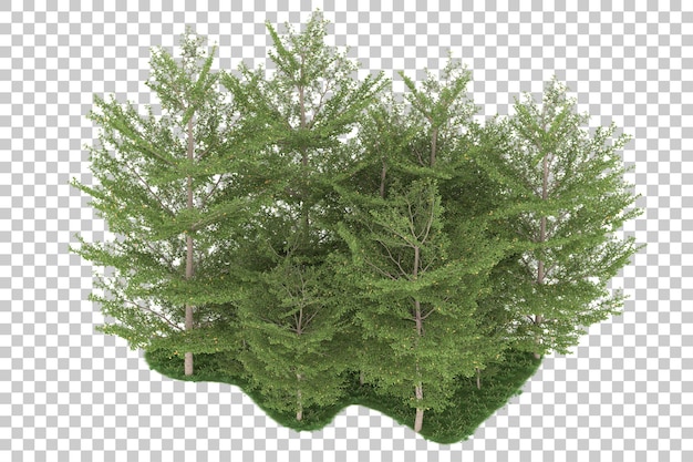 Forest on transparent background. 3d rendering - illustration