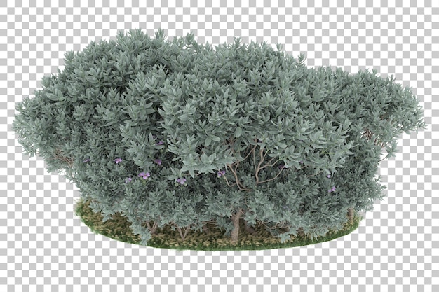 Forest on transparent background. 3d rendering - illustration