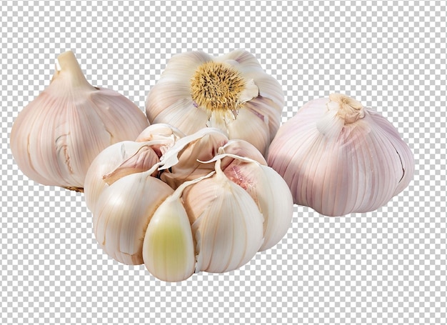 Garlic On Alpha Layer