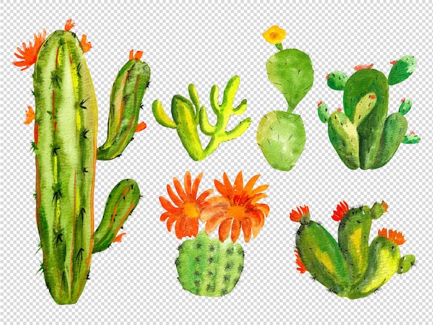 PSD green cactus hand painting isolated elements gouache illustration collection