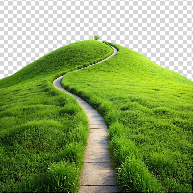 Green hill trail isolated on transparent background