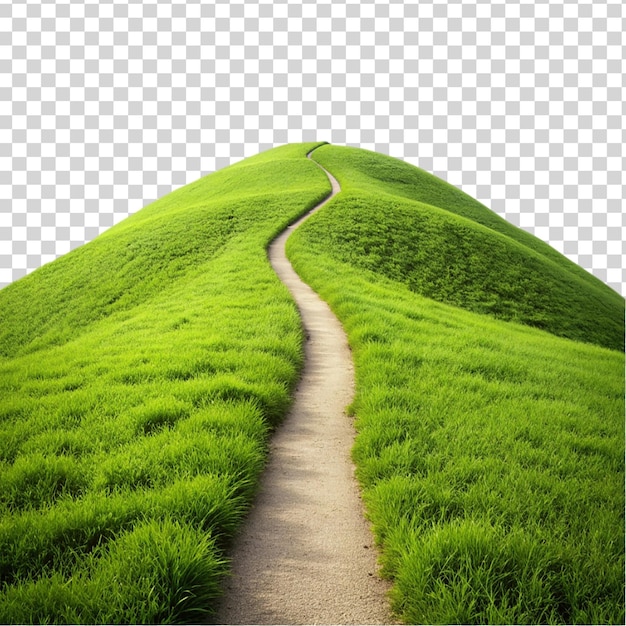 Green hill trail isolated on transparent background