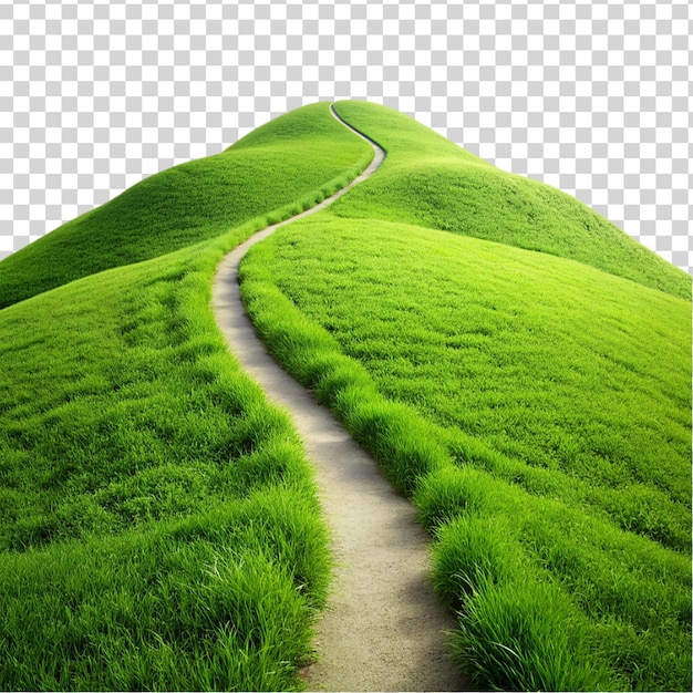 Green hill trail isolated on transparent background