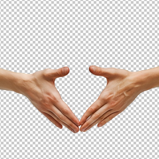 hand gestures on a transparent background