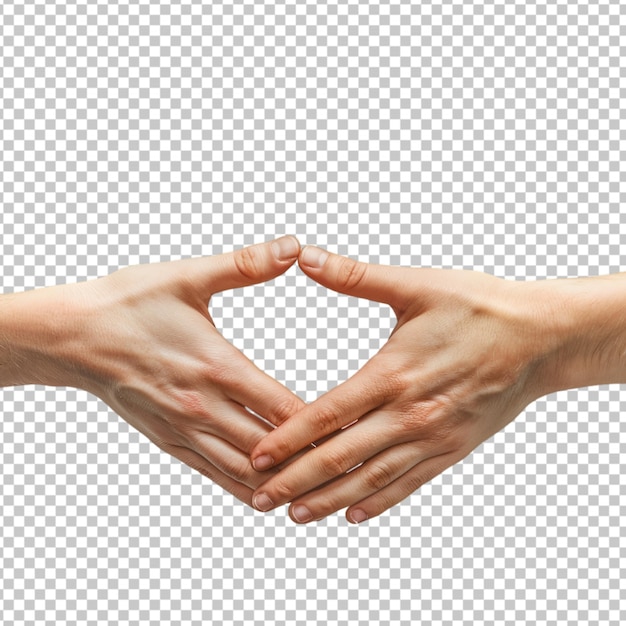 hand gestures on a transparent background