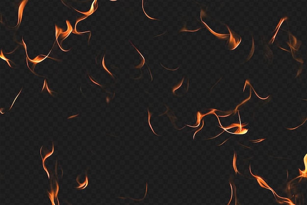 Intense Burning Fire Effect Overlay Isolated on Transparent Background Perfect for Visual Effect