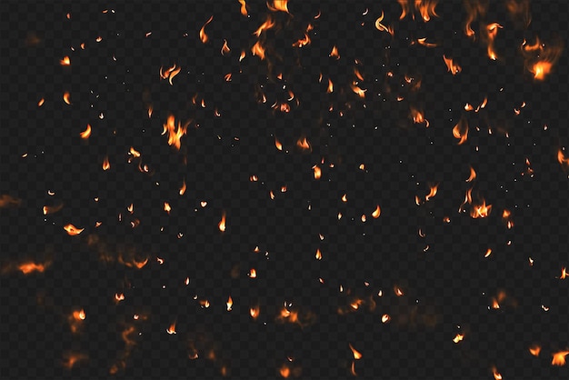 PSD intense burning fire effect overlay isolated on transparent background perfect for visual effect