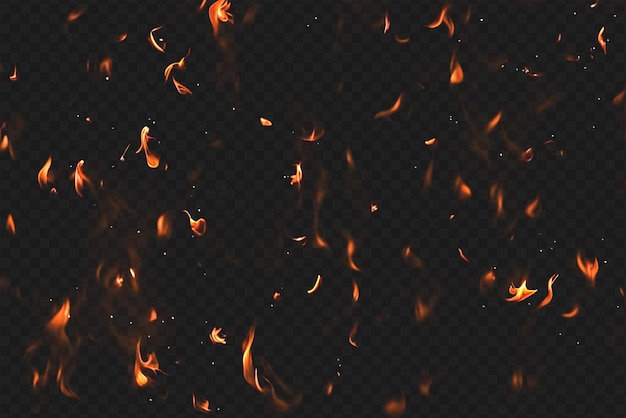 Intense Burning Fire Effect Overlay Isolated on Transparent Background Perfect for Visual Effect