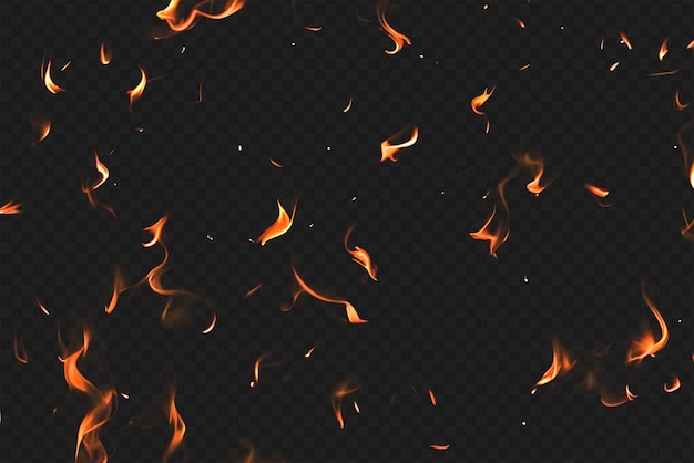 Intense Burning Fire Effect Overlay Isolated on Transparent Background Perfect for Visual Effect