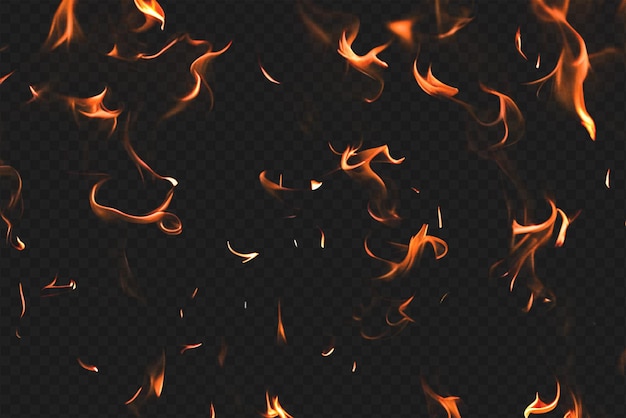 Intense Burning Fire Effect Overlay Isolated on Transparent Background Perfect for Visual Effect