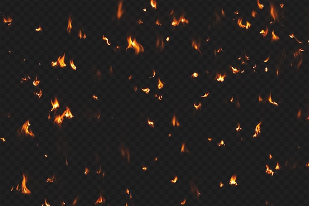 Intense Burning Fire Effect Overlay Isolated on Transparent Background Perfect for Visual Effect