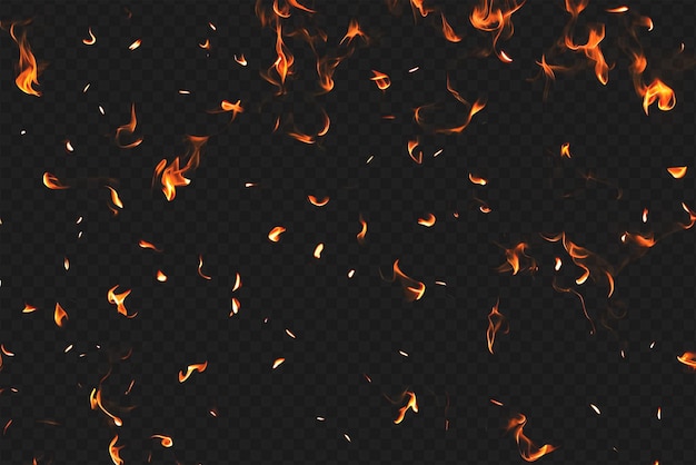 Intense Burning Fire Effect Overlay Isolated on Transparent Background Perfect for Visual Effect