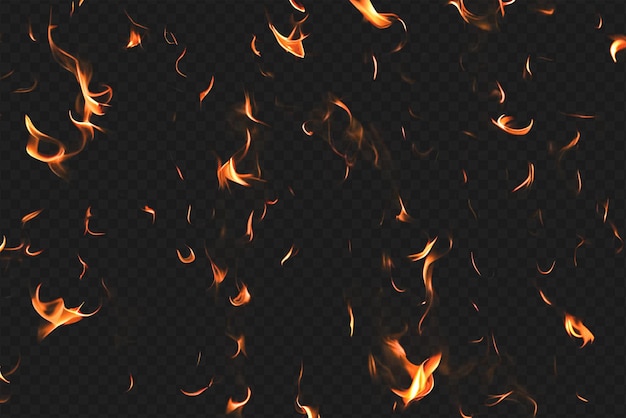 Intense Burning Fire Effect Overlay Isolated on Transparent Background Perfect for Visual Effect