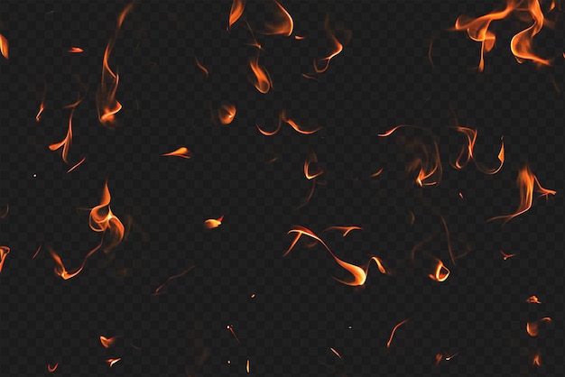 Intense Burning Fire Effect Overlay Isolated on Transparent Background Perfect for Visual Effect