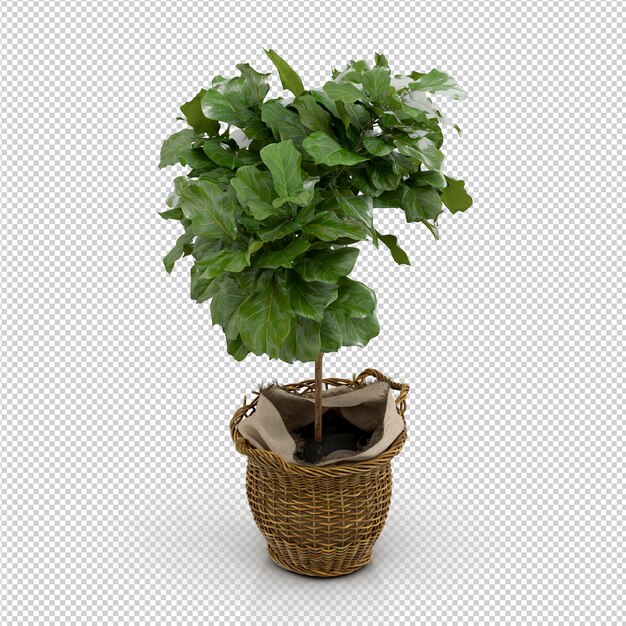 Isometric Plant 3d rendering