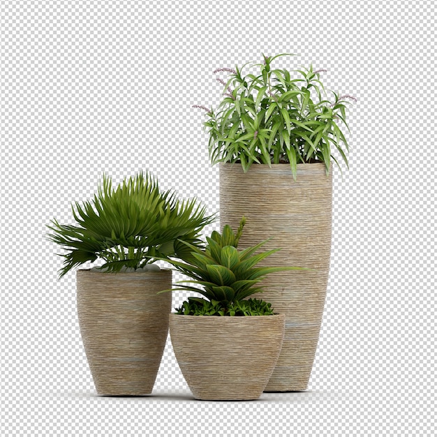 Isometric Plant 3d rendering