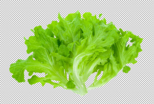 Lettuce isolated on alpha layer background