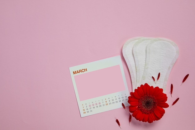 Menstrual sanitary pads, feminine calendar