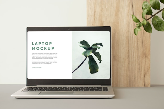 Minimalist laptop on table and plant