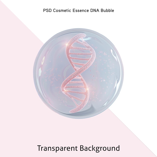 PSD molecule dna inside bubble on transparent background cosmetics skincare or human skin treatment